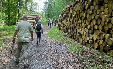 Naturparkwanderung Holz