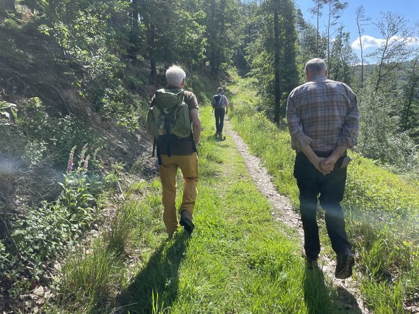 geführte Wanderung