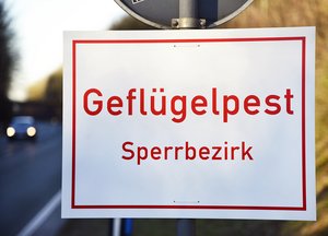 Schild mit dem Aufdruck "Geflügelpest - Sperrbezirk". Foto: Thomas Weinstock/ Kreis Soest