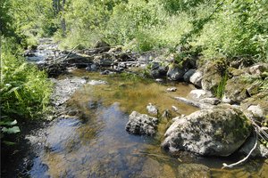 Ein Flusslauf mit Steinen und Grünfläche. Foto: Thomas Weinstock/ Kreis Soest