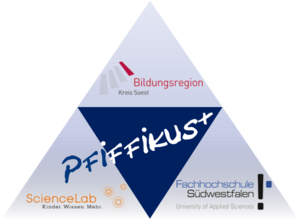 Graphische Darstellung der Kooperationspartner des Projektes Pfiffikus+.