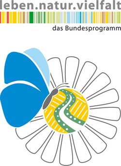 Das Logo des Projekts "Rückgewinnung und ökologische Optimierung kommunaler Flächen - Schaffung neuer Lebensräume für Insekten" mit Margerite, Schmetterling, Acker und Feldsaum". Darüber findet sich das Logo des Förderprogramms.