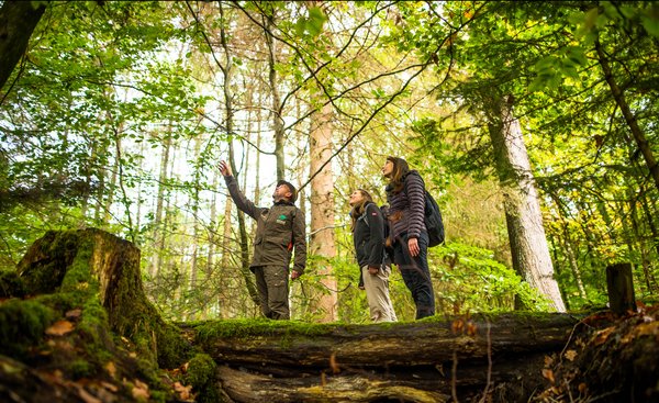 Wanderung durch den Naturpark Arnsberger Wald